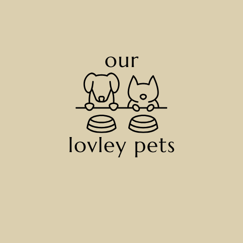 our lovely pets